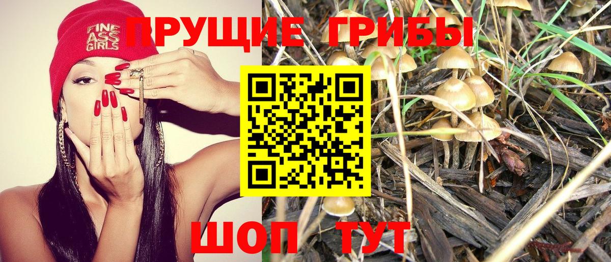 Ростов-на-Дону  Галлюциногенные грибы ЛСД  Вход с VPN 