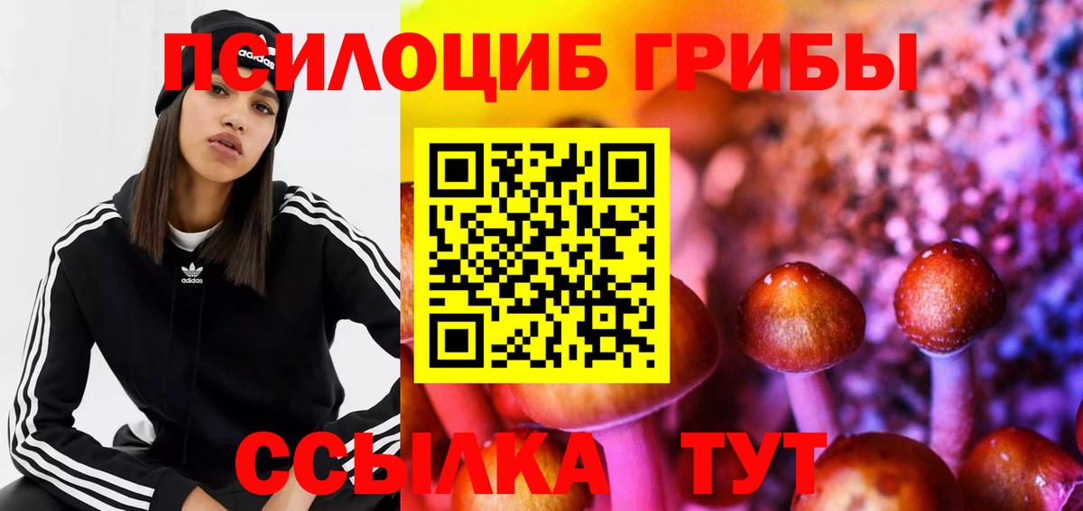 Галлюциногенные грибы Psilocybe Ростов-на-Дону