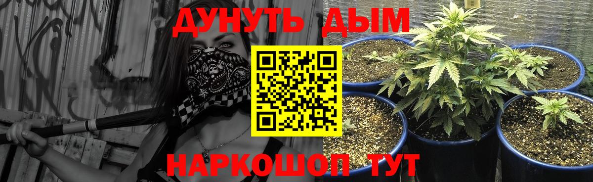 МАРИХУАНА план  Вход с VPN  Марихуана White Widow  Бошки марихуана ГИДРОПОН  МАРИХУАНА марихуана  Ростов-на-Дону 